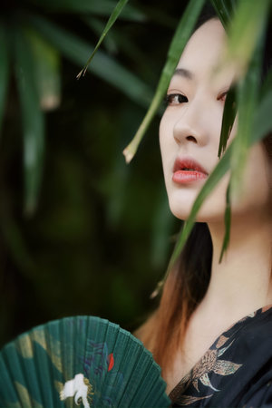与君歌在线观看